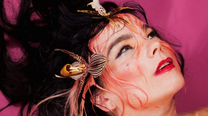Björk’s Wiki: Son, Family, Children, Salary, Spouse, Ethnicity, Dating, Affair