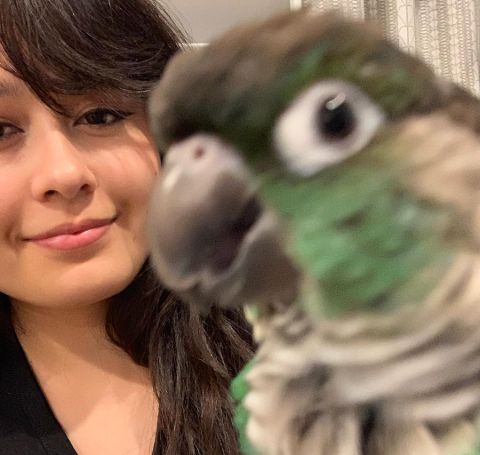 Jaiden Animations in a black t-shirt with her parrot.