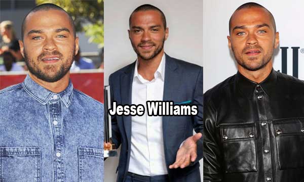 Jesse Williams Bio, Age, Height, Weight, Early Life, Career and More
