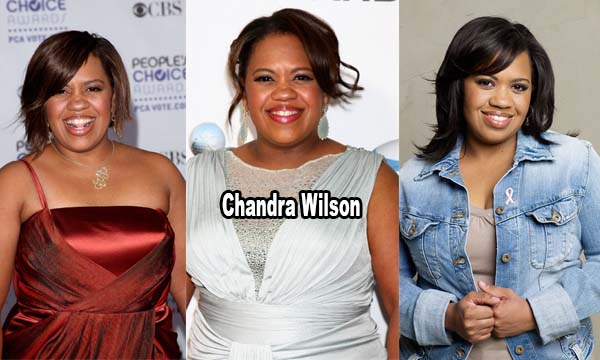Chandra Wilson Bio, Age, Height, Weight, Early Life, Career and More