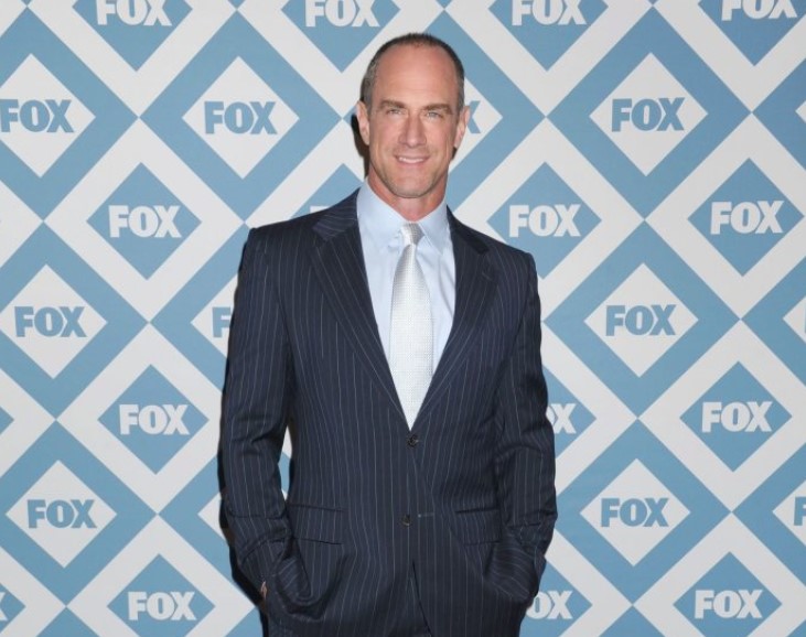 Christopher Meloni TV Shows