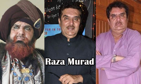 Raza Murad Bio, Age, Height, Career, Personal Life, Net Worth & More