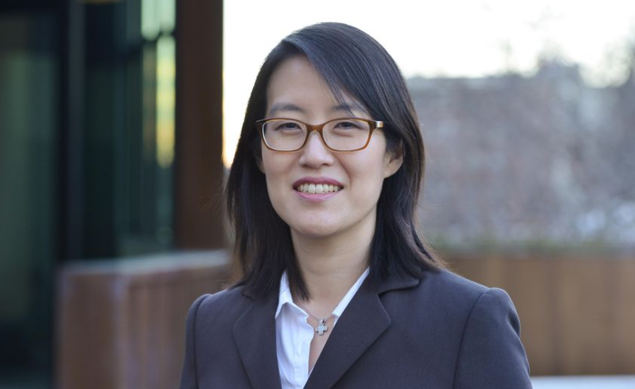 Ellen Pao, a famous Investor and Activist