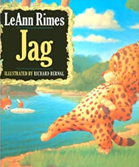 Author, LeAnn Rimes Book, 'Jag'