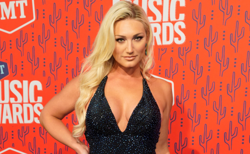 Globus mærke navn Andesbjergene Brooke Hogan - Bio, Net Worth, Age, Facts, Husband, Married, Parents,  Family, Height, Weight, Nationality, Wiki, Salary, TV Shows, Albums, Career  - Wikiodin.com
