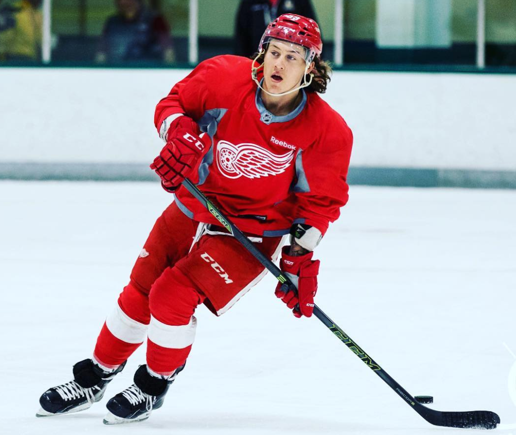 Tyler Bertuzzi was drafted 58th overall by the Red Wings in the 2013 NHL Entry Draft