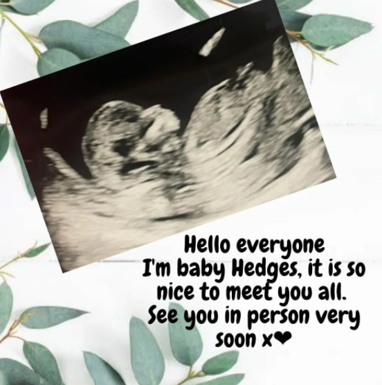 Charlie Hedges is Pregnant