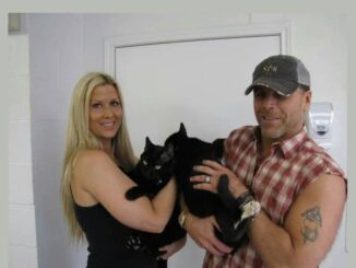 Shawn Michaels' Wife - Rebecca Curci Hickenbottom, Wiki