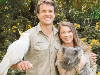 Bindi Irwin1