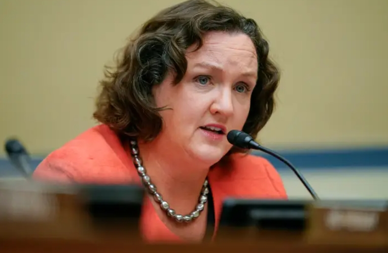 American Politician, Katie Porter