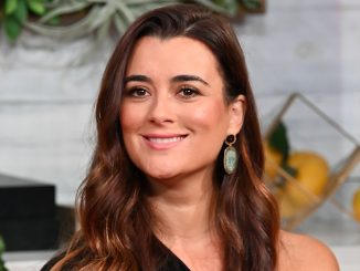 What is Cote de Pablo doing now? Aka Ziva David on NCIS